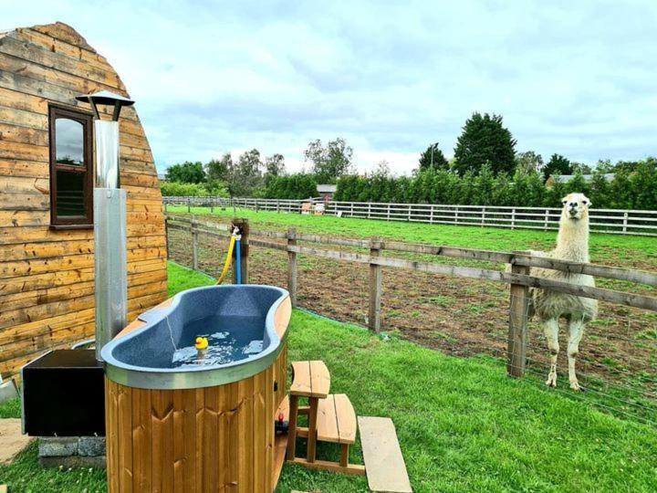 Skipbridge Farm Glamping York Exterior photo
