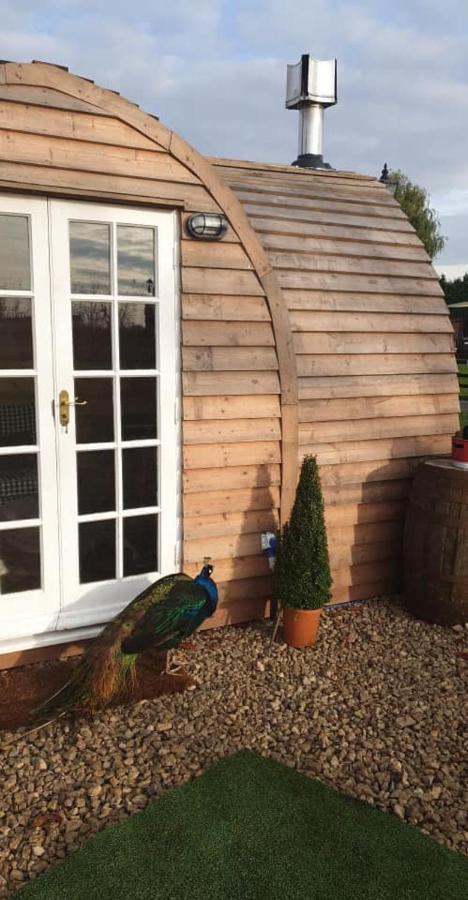 Skipbridge Farm Glamping York Exterior photo