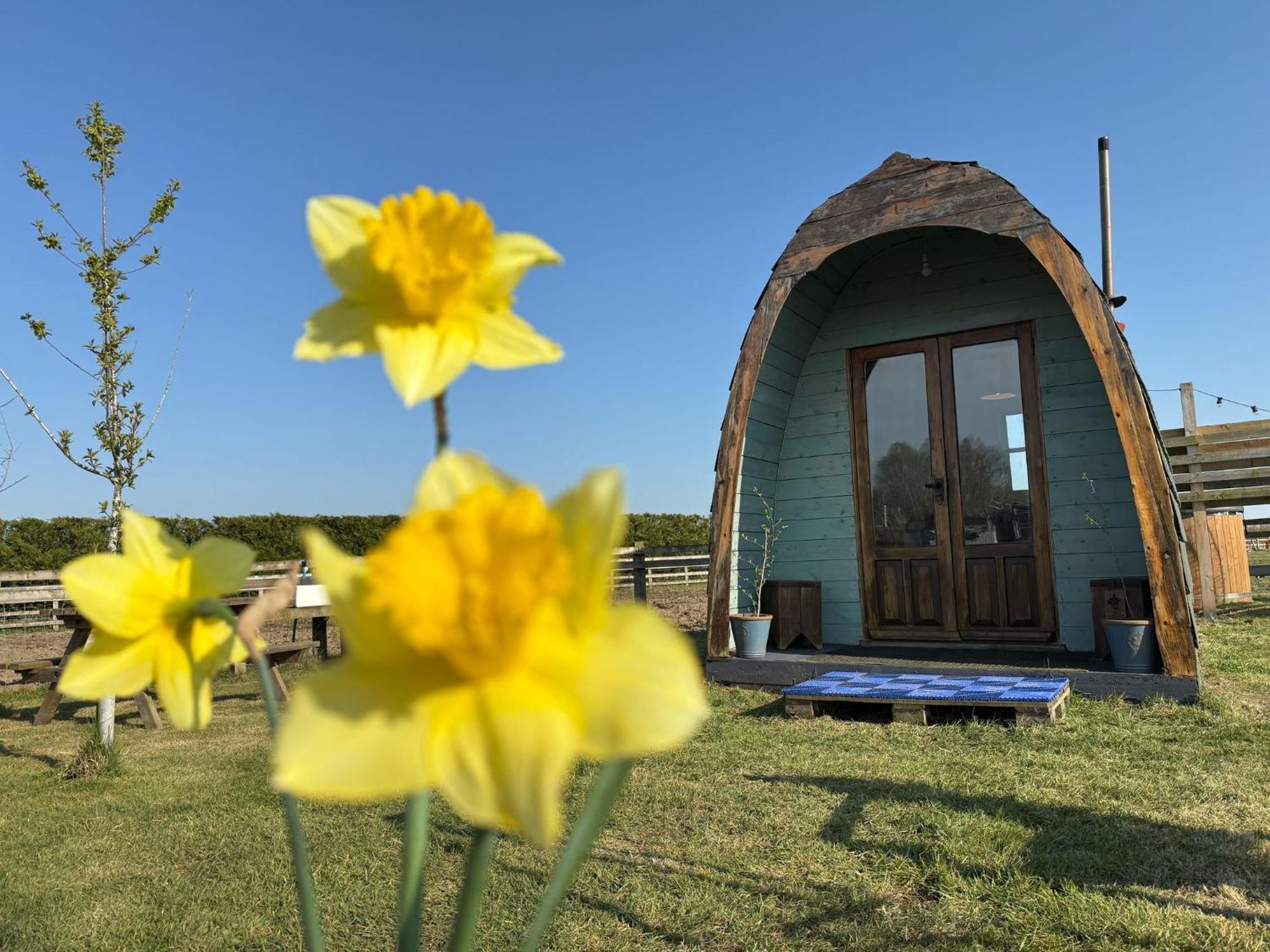 Skipbridge Farm Glamping York Exterior photo